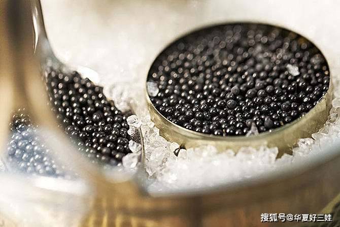 最贵的鱼子酱是哪个国家 ecaa7373fc3d4892a2dfd7b11a083747.jpeg