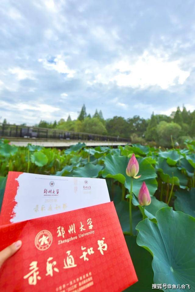 消息资讯|郑州大学2020年本科一批录取结果公布，多少分可以被郑州大学录取