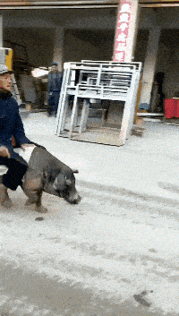 这下丢人丢大了 是我没排准,还是墩子动了 我考试不是没想到这个方法