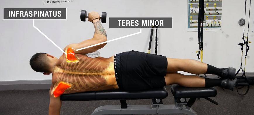 如何快速的减脂增肌 90d3d4f35f594dab8da7101fea49c069.jpeg