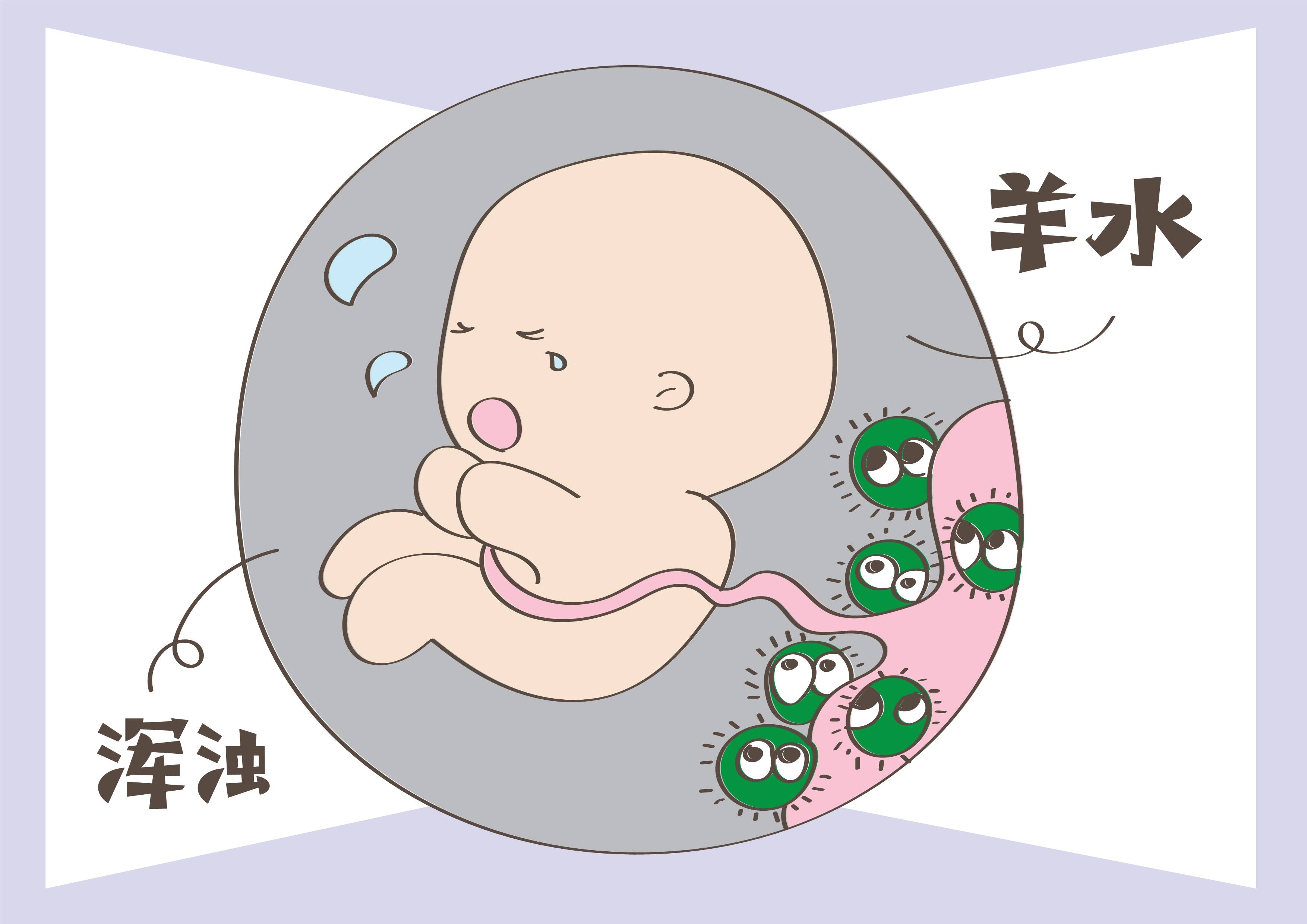 孕妇体内羊水里的胎儿发育人体器官图片_蛙客网viwik.com