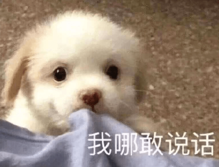 头发|娜扎消失的头发全回来了…这方法比鞠婧祎还高明！