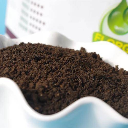 生松针的作用与功效 d102fa9890f84516ae846a0481f74e2e.jpeg