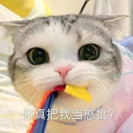 撩人表情包图片:小哥哥,你逃不出我的手掌心