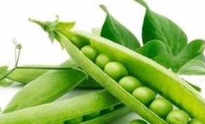 啥菜能消炎 e770e92d26f341b8b7116ae4e8fe30e9.jpeg