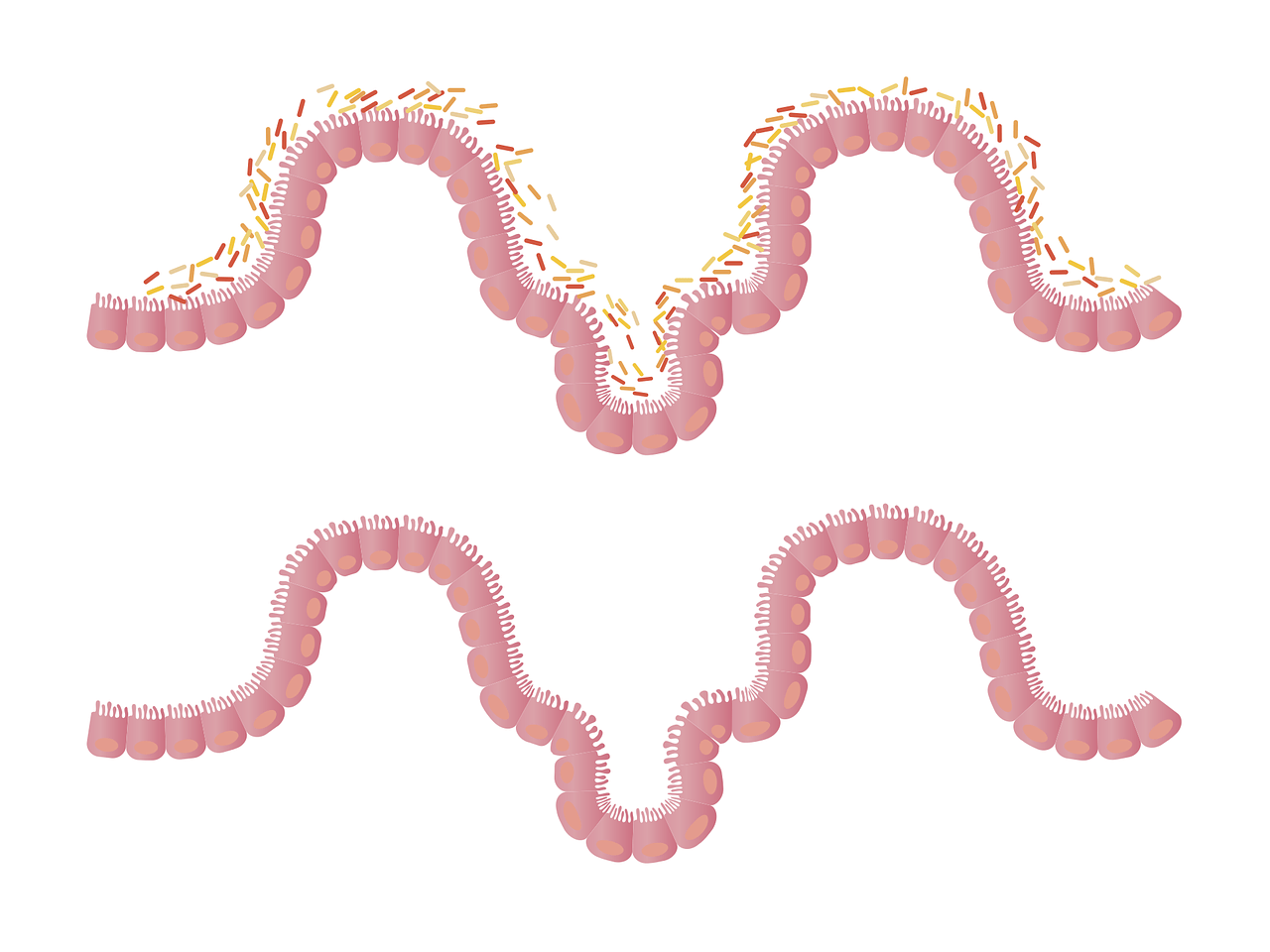 f417ac861b5b41a28f3c203be8085dc6.png