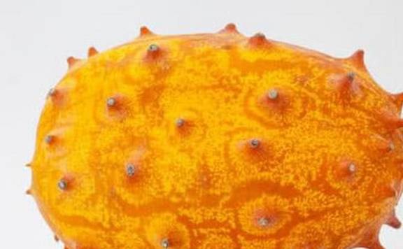 乌龟怎么吃营养价值高 ff6788ba37944153afa6cdf2ada29c01.jpeg