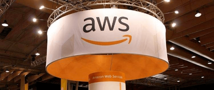 那只|亚马逊，如何躲过那只黑天鹅