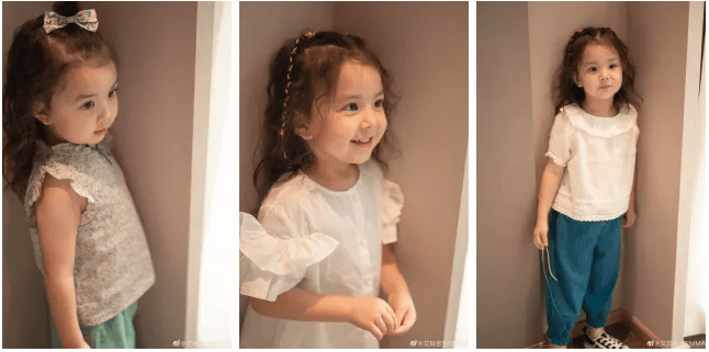 森林|安利一档清新自然的综艺《奇妙小森林》