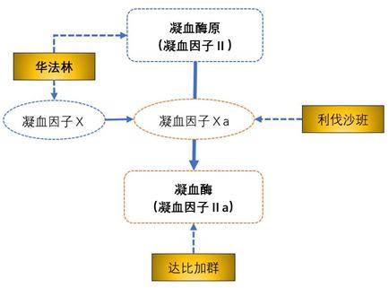 利伐沙班中间体:4(4-氨基苯基-3-吗啉酮的合成_手机搜狐网