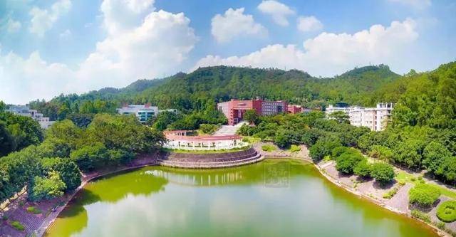 院校|广东最热门的大学！多少分可以读？