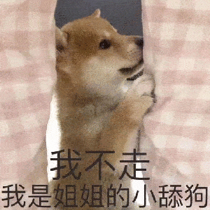 72bf227994c84a9bb0968056f2dd3e46.gif