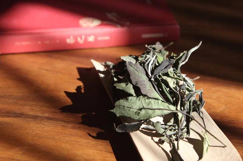 仓储|核心在于仓储是萎凋的延续白茶越陈越香