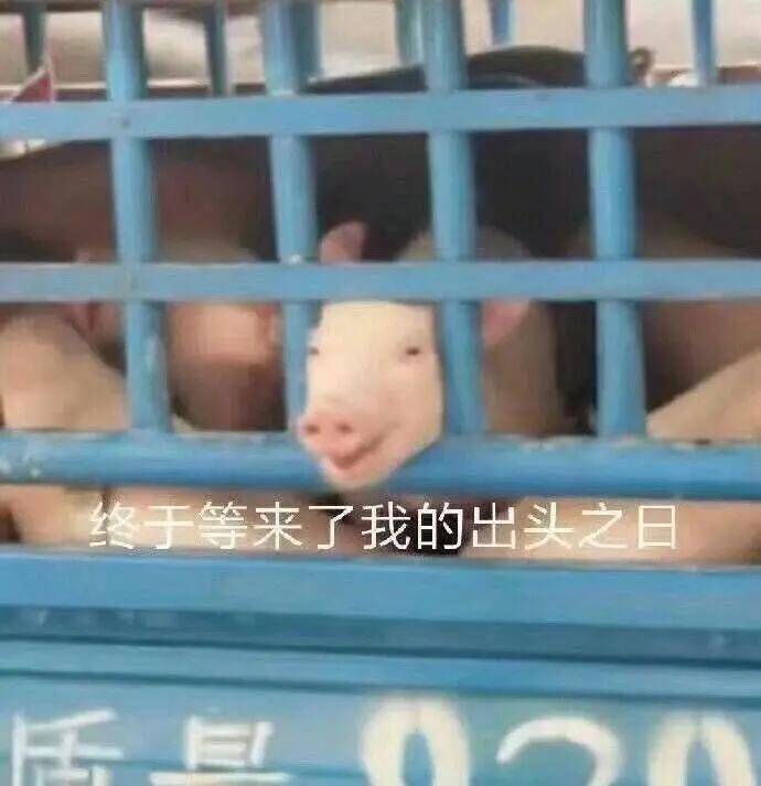 镜子|以前拿央视镜头当镜子，现在十级滤镜都磨不平，刘亦菲鼻子到底咋了？