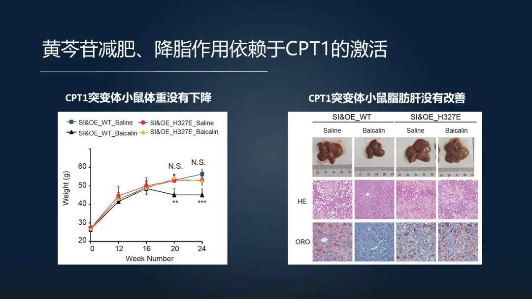 化学凝聚法的原理是什么_凝聚是什么意思(2)