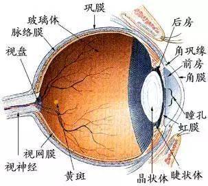 眼睛布满红血丝怎么办