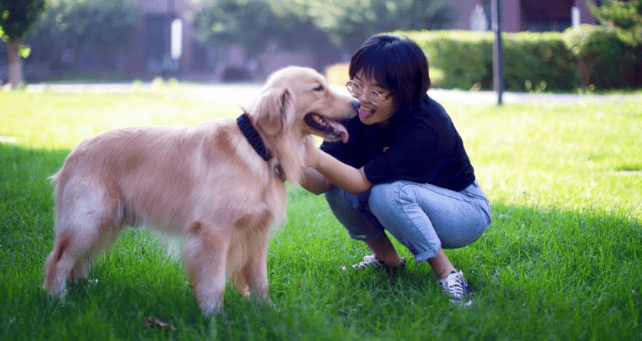段子|当女人们开口讲段子