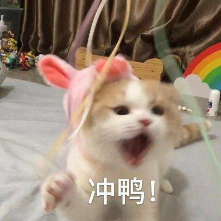文章配图-11