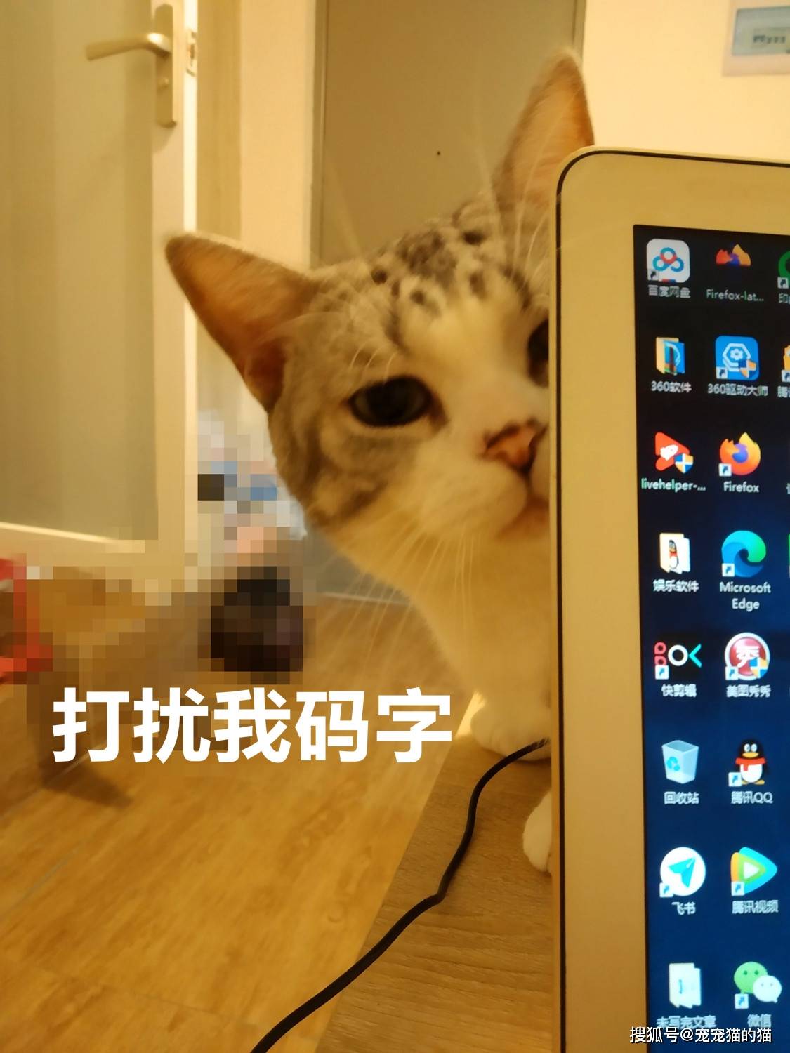bed6e4312b2f4c17bc3f3f6cd7a23173.jpeg