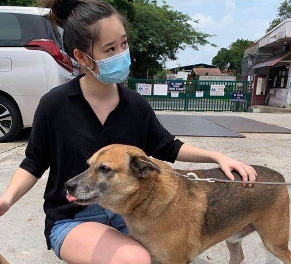 近照|李连杰16岁小女儿晒近照，身材发福胖许多，亲姐的留言亮眼了！