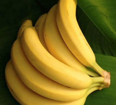 e0ba524ff40c441cb47bc1631b078fe2.png
