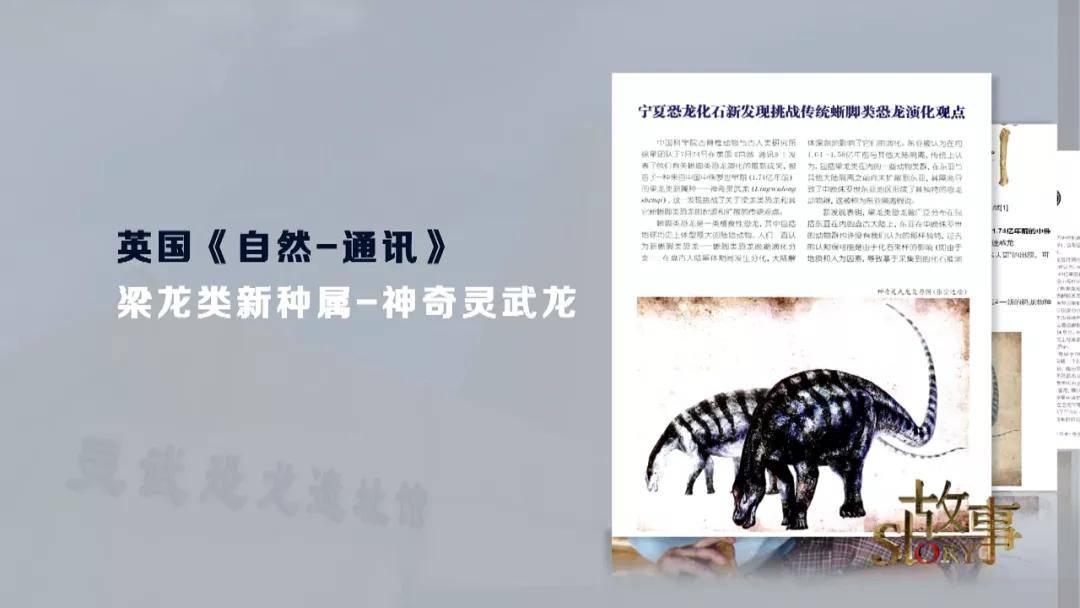 中国|中国“神奇灵武龙”,究竟因何而神奇？