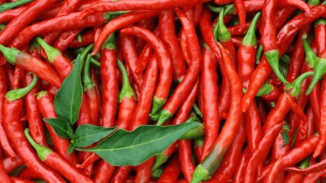辣椒|四川人吃什么？盘点让人意想不到的外来食物辣椒传入中国以前