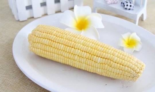 食用|吃玉米是升血糖还是降血糖？糖尿病人能吃吗？提前了解一下