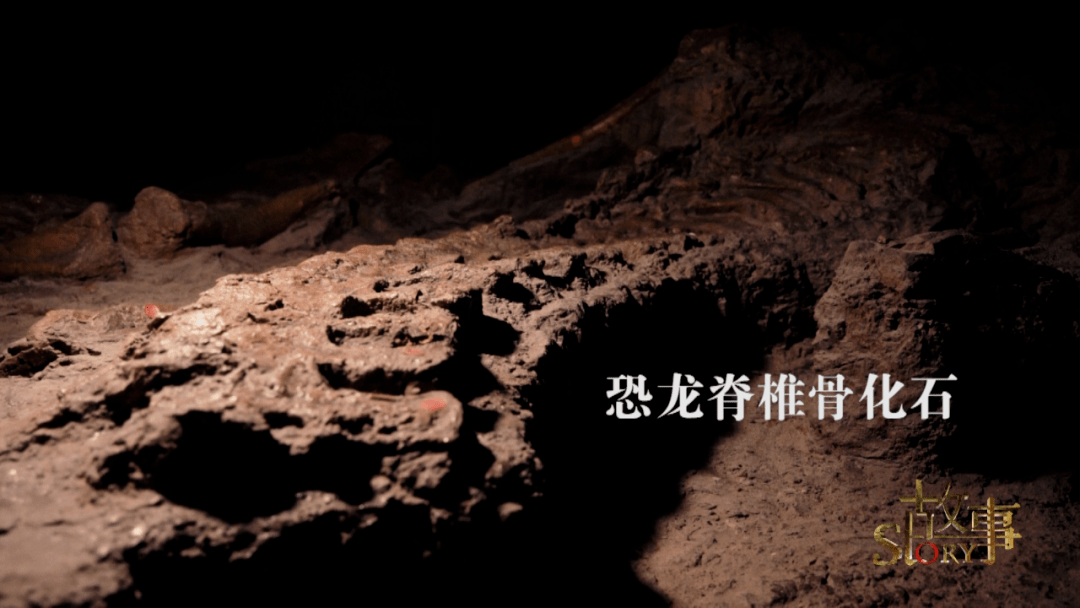 中国|中国“神奇灵武龙”,究竟因何而神奇？