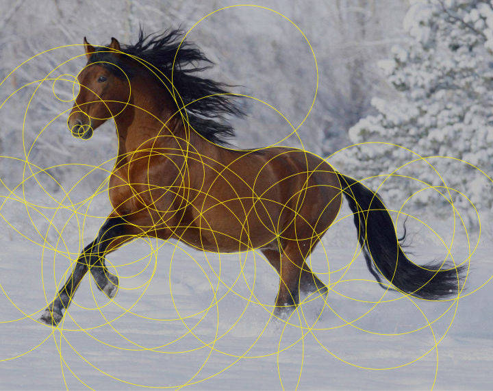 得文|得文宝石Logo设计——辅助线在轮廓抽象化上的应用