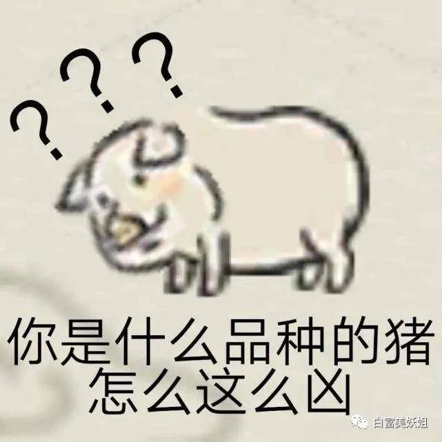 阿四|B站学霸网红靠一张脸赚百万，还让50w人酸她的爱情…