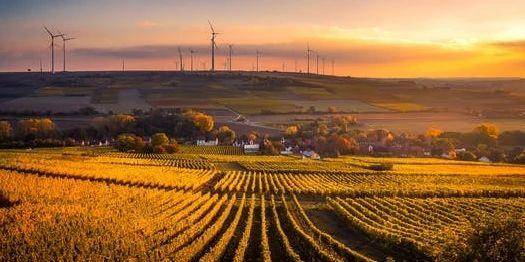 影响|已被大学录取但不去报到，会有什么影响？高中生也应该看看！