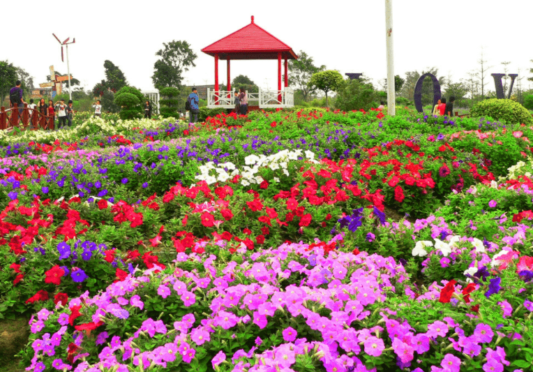 花海|心理测试：你认为哪个花海最美丽？测你2020下半年有什么好事降临