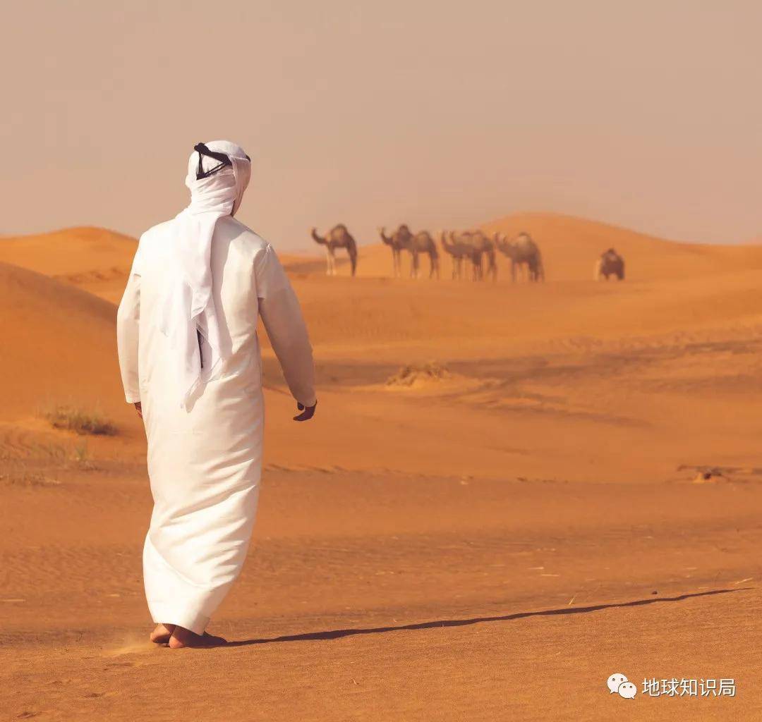 石油土豪搞核能，是钱太多了么？| 地球知识局