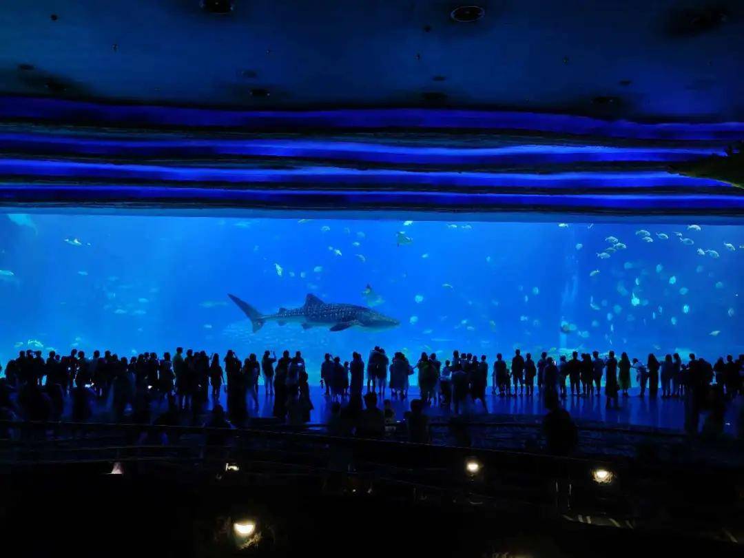 Pro|vivo X50 Pro测试：765G换来微云台，值得一买吗？