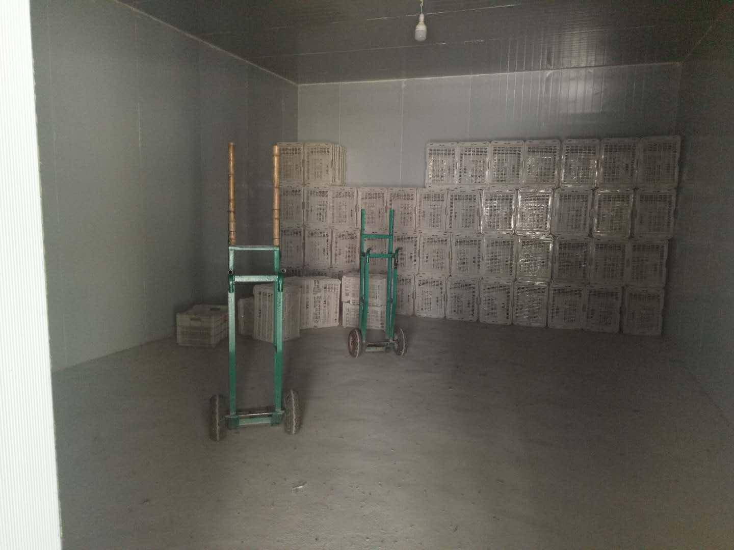 自己怎么建冷库 5b5ab00d4ce441b6a195ef9e9f3c6136.jpeg