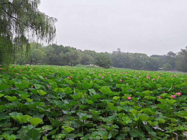 考查|2021考研法硕考研新大纲可能变化分析