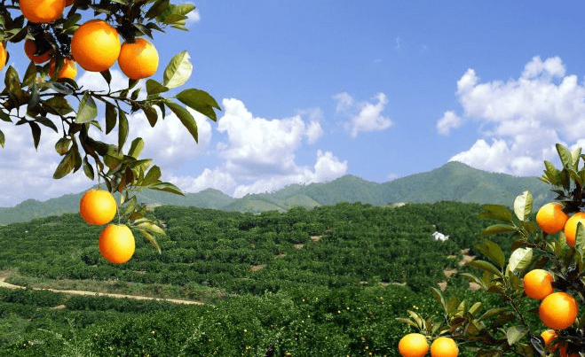 信丰县2020年Gdp_中国gdp变化图