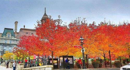 2020韩国人气排名的_2020年KPOP女团韩国国内油管点击量排名(2)