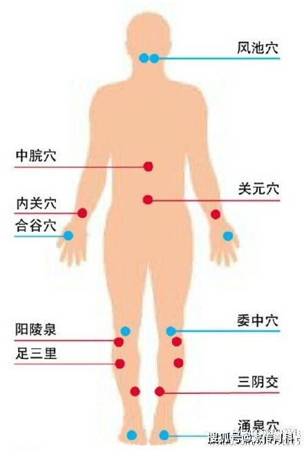 人体十大养生穴_关元