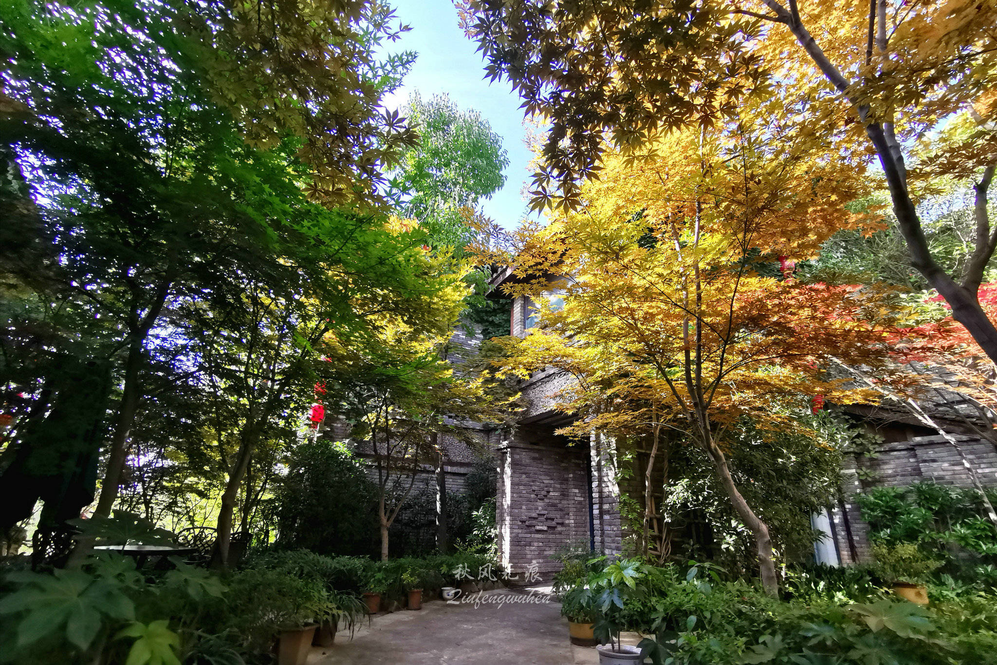 秋风(|秋风拂醉沙沙河边温柔乡