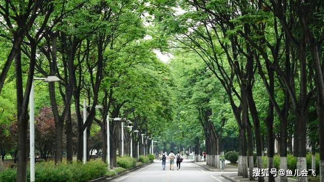 消息资讯|多少分能上西电？西安电子科技大学2020年本科录取分数线发布