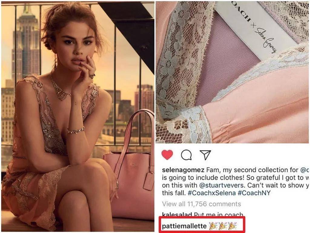 Coach|杨紫为代言Coach减重10斤?可品牌做公益也没法洗白辱华的事实...