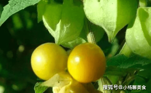 85f10cc0a10a459f953a18213c2e6c41.png