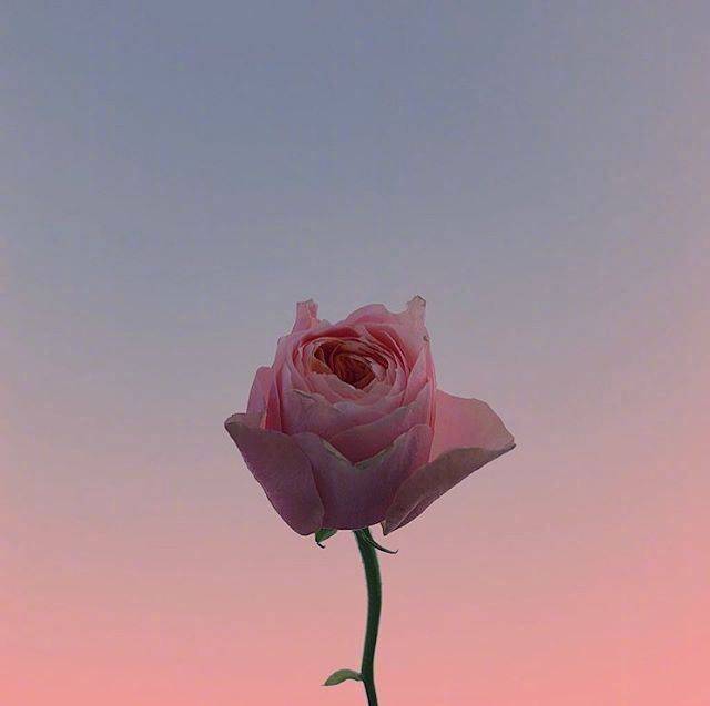 8646a272eb8a42b18b0eb82571e22b38.jpeg