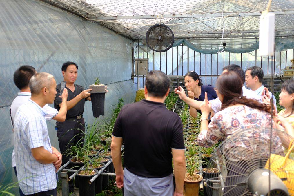 教育|立德树人丹心红——湖北襄阳首届襄派教育家思享会在栖溪小镇举办