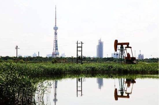 大东北文化圈2020GDP_中国gdp变化图