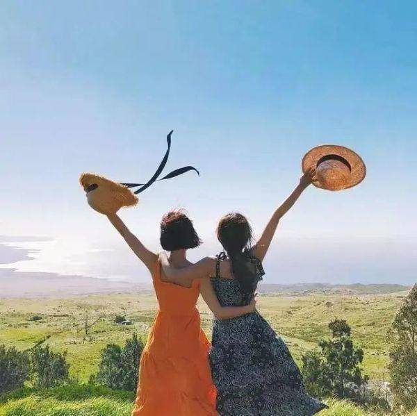 能量|剽悍一只猫的剽悍财富行动营—22天后我终于有勇气开始乘风破浪！