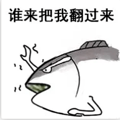 9dc485683e444b8dafa5eca931a9e43e.png