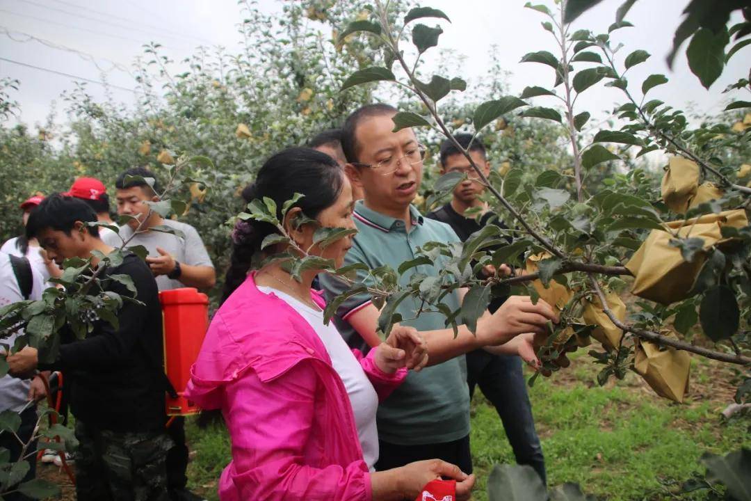 消息资讯|陕西科技大学一大学生科技创新团队成功研发出苹果“面膜”